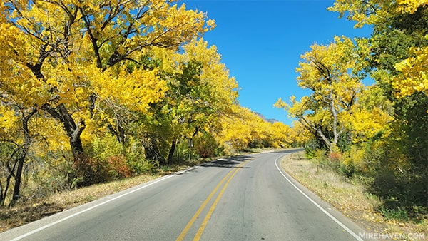 Fall colors in Jemez Springs